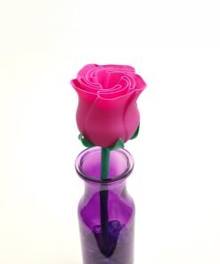 Small Pink Rose in purple vase