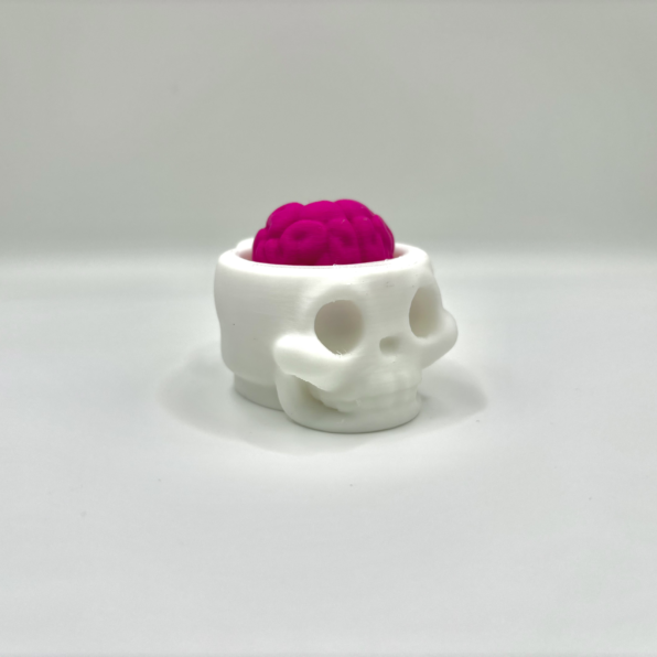 skull with brains